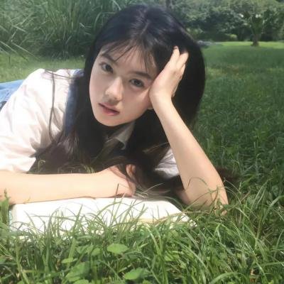 纽约鼠患